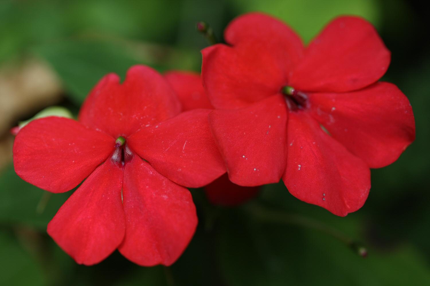 a0094850_7164523.jpg