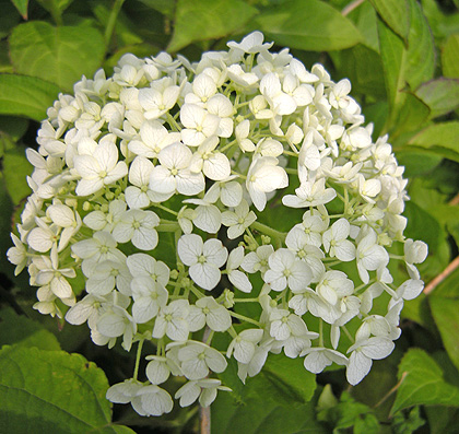 a0001354_23143142.jpg
