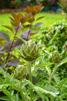 e0025655_5381789.jpg