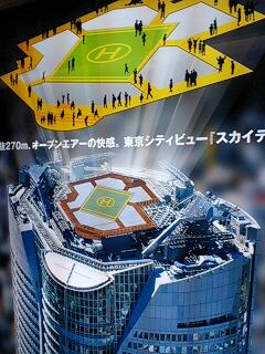 e0045856_1722834.jpg