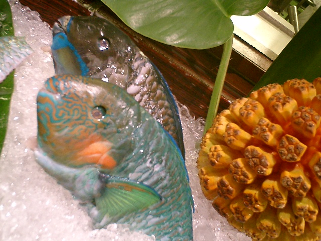 f0045956_123567.jpg