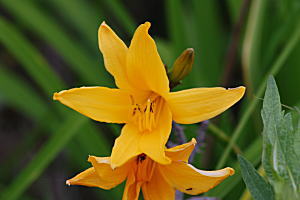 b0086858_16301142.jpg
