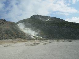 a0055866_834835.jpg