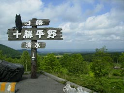 a0055866_8434367.jpg