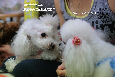 d0048067_07218.jpg