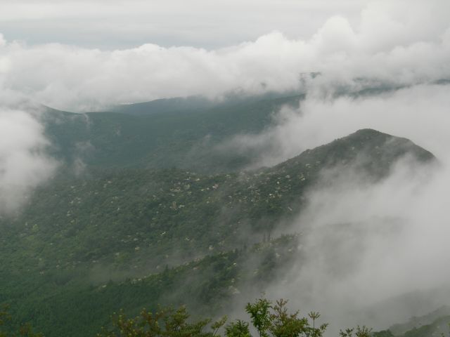 c0042869_20463320.jpg