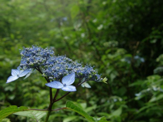 c0042869_20544251.jpg