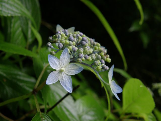 c0042869_20552972.jpg