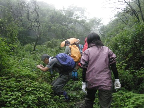 c0042869_2056114.jpg