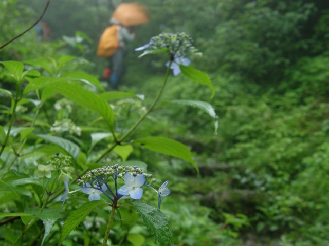 c0042869_20563265.jpg