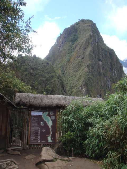 f0160069_20232673.jpg