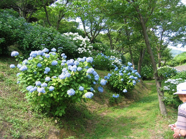 f0174373_70634.jpg