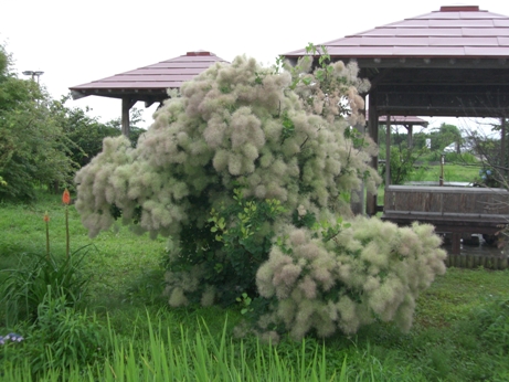 f0116278_213010.jpg