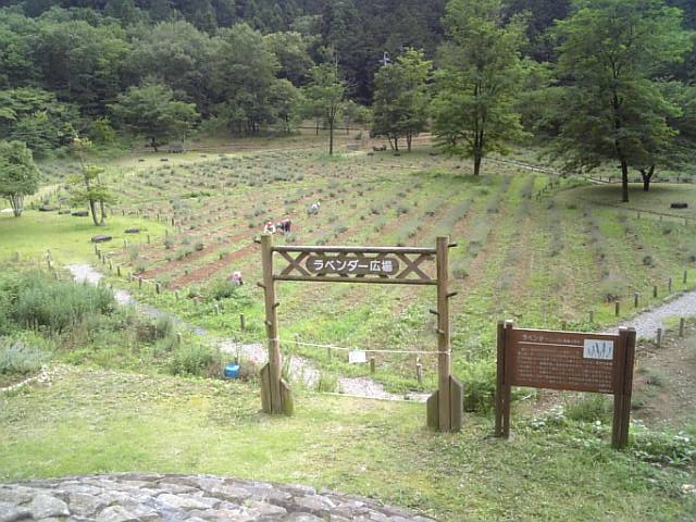 a0060882_10352941.jpg