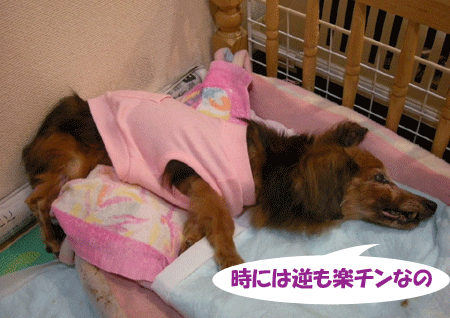 e0066883_23301473.gif