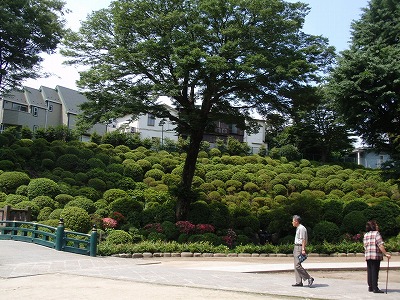 c0105785_9484173.jpg