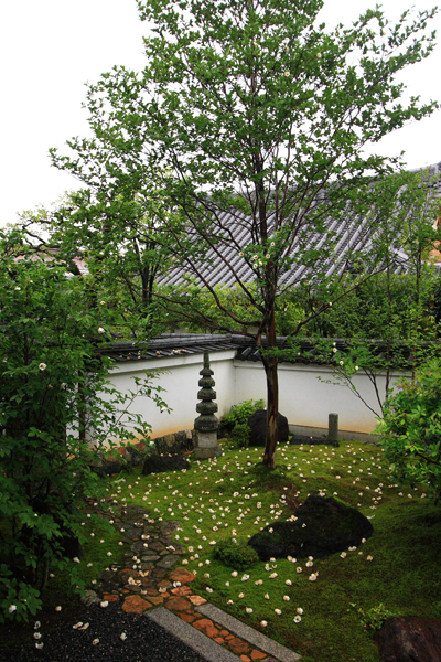 e0051888_1936295.jpg