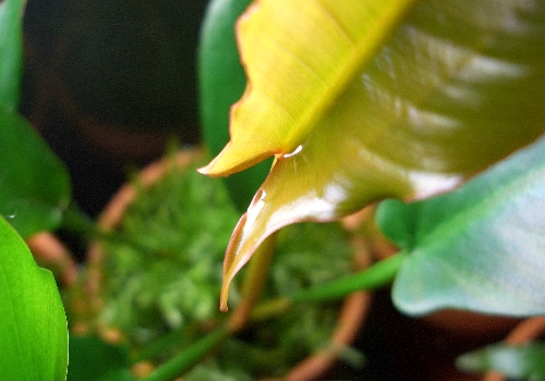 c0074591_23293220.jpg