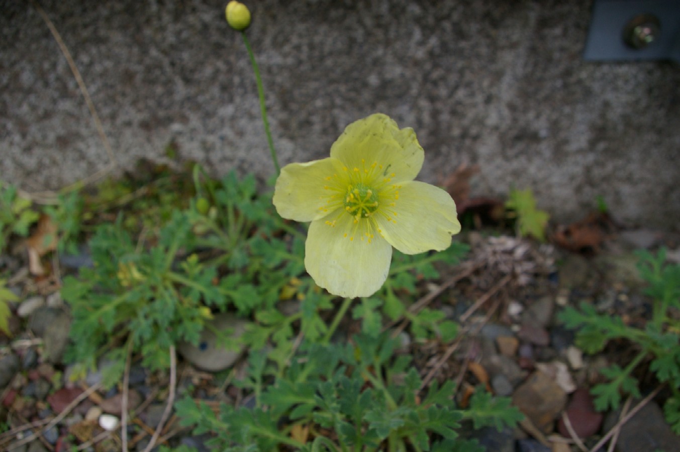 d0124100_19513234.jpg