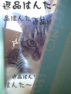 c0035001_163215.jpg