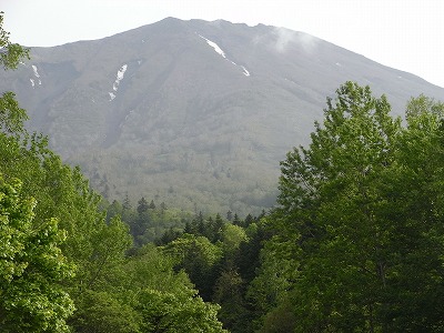 f0157901_10372683.jpg