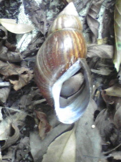 e0071811_20324785.jpg