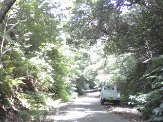 e0071811_2036588.jpg
