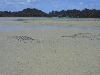 e0071811_20371125.jpg