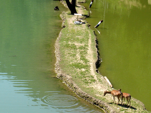 f0039021_121199.jpg