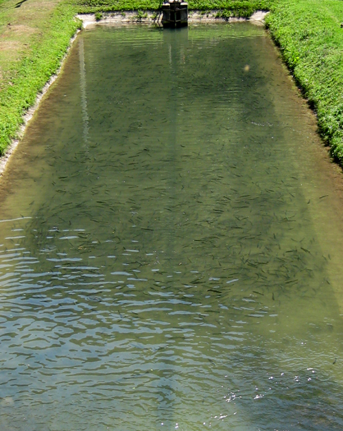 f0039021_1271856.jpg
