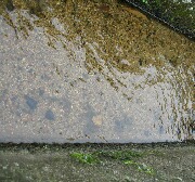 f0079722_2156578.jpg