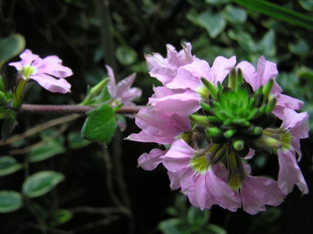 f0128723_0442984.jpg