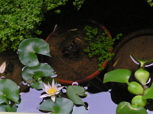 f0128723_0483580.jpg