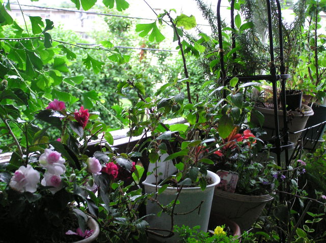 f0128723_0492745.jpg