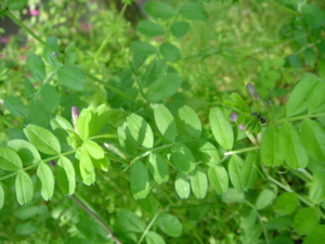 b0131724_23273081.jpg