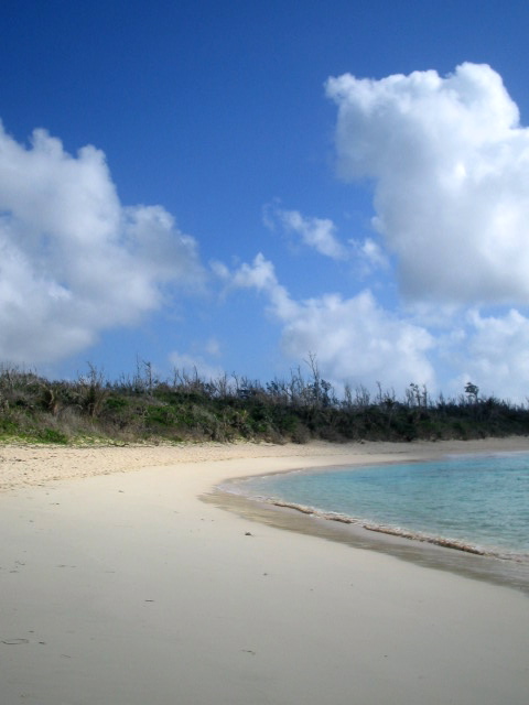 f0107724_840945.jpg