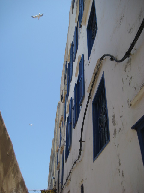 d0147727_21212535.jpg