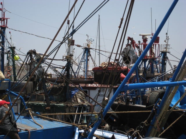 d0147727_21233893.jpg