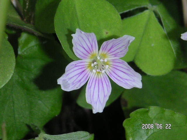 a0020929_16495452.jpg