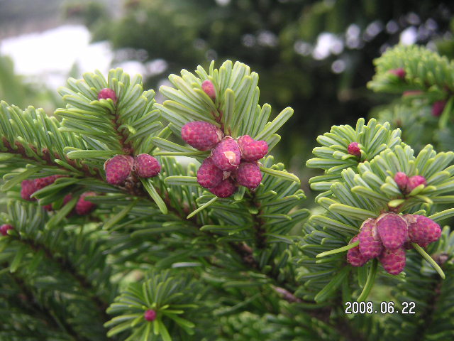 a0020929_16593488.jpg