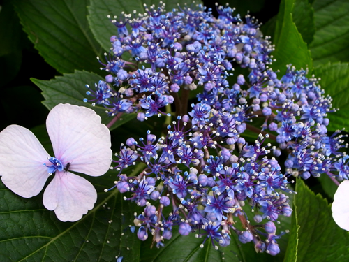 c0077129_0353776.jpg