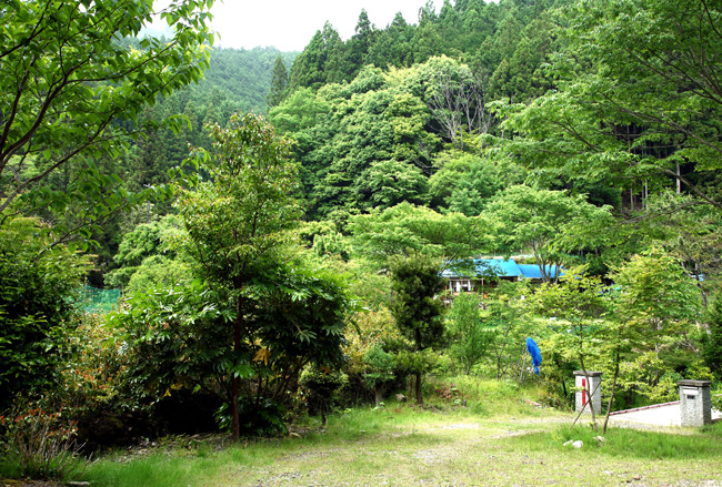 d0147530_6552172.jpg
