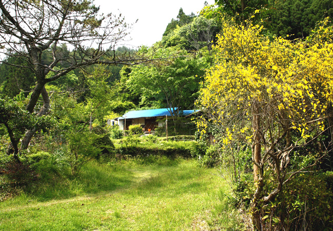 d0147530_6555891.jpg