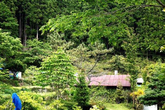 d0147530_6561284.jpg