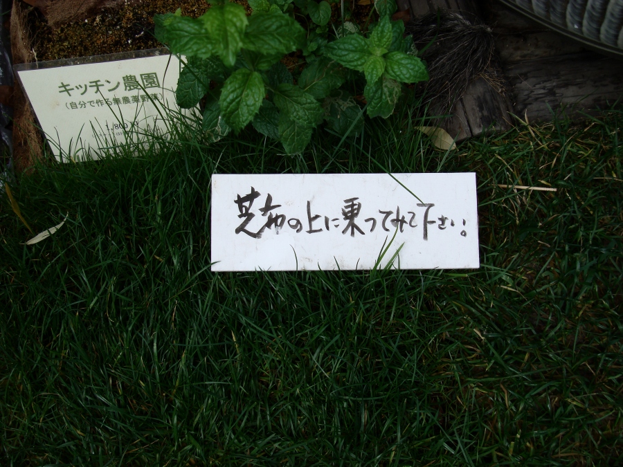 d0066031_231434100.jpg