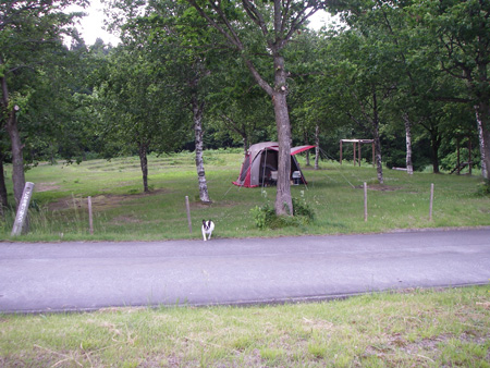 e0008833_9515541.jpg