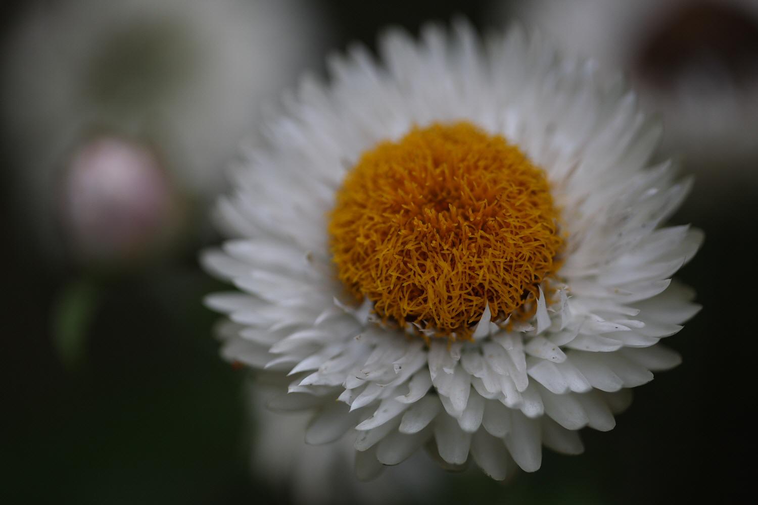 a0094850_6421110.jpg