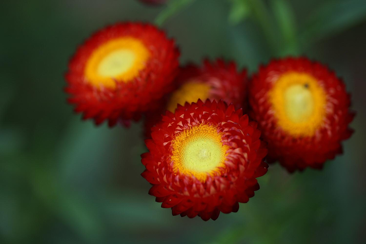 a0094850_64231100.jpg