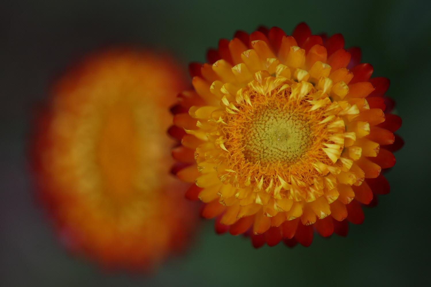 a0094850_6424336.jpg