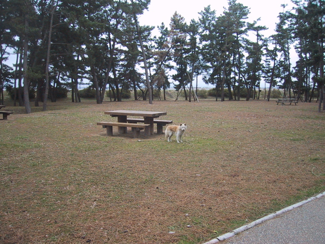 f0046250_1212080.jpg